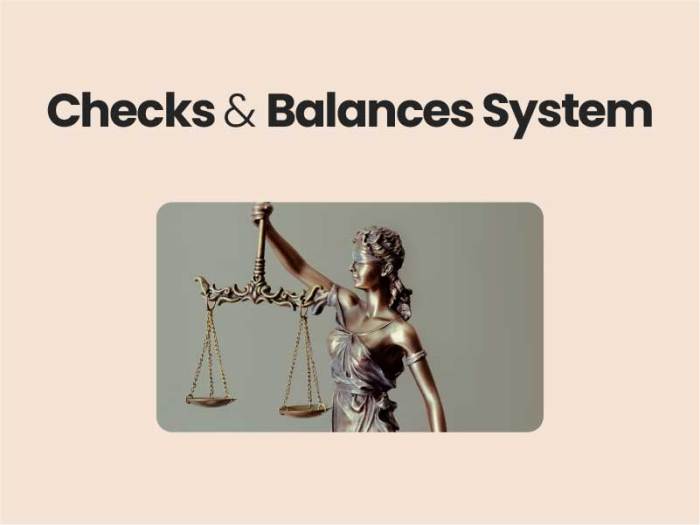 Checks and balances apush definition