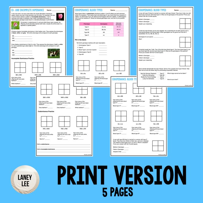 Inheritance of blood types worksheet