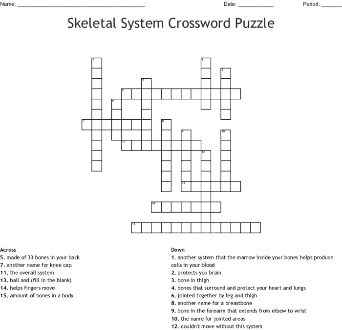 The skeletal system crossword puzzle