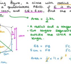 Angle c is inscribed in circle o