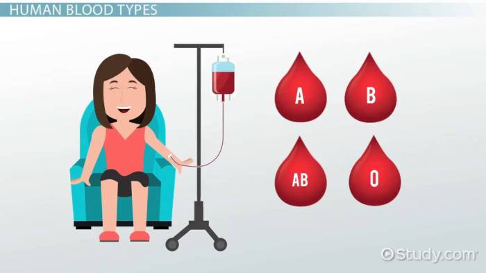 Inheritance of blood types worksheet