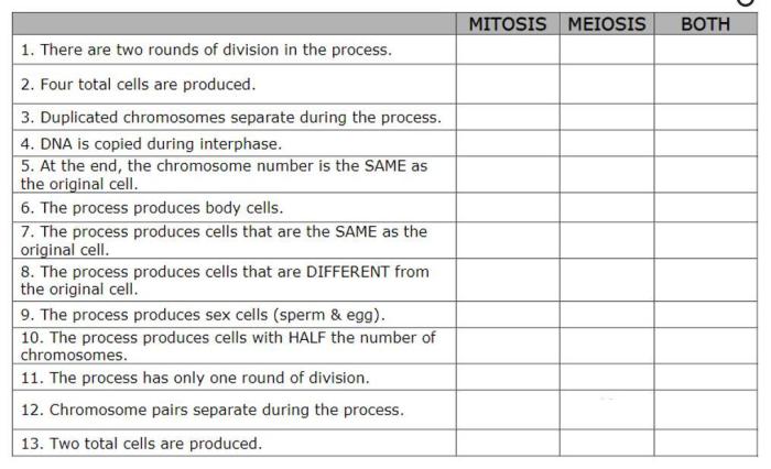 Determine whether each label describes skeletal or cardiac muscle