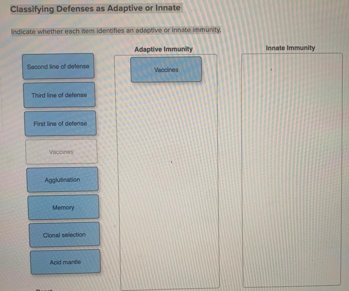 Indicate whether each item identifies an adaptive or innate immunity.