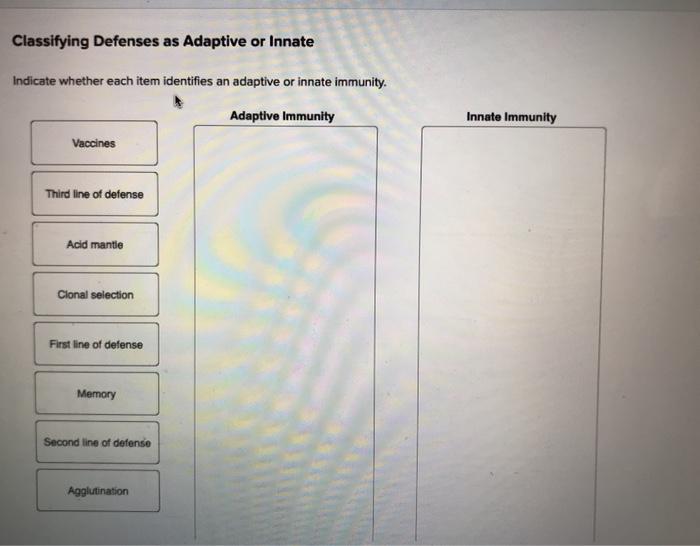 Indicate whether each item identifies an adaptive or innate immunity.