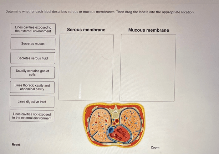 Describes determine relative